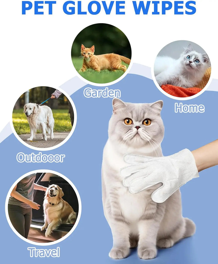 Cleaning Wipes Gloves for Dog/Cat | Deodorizing Bath Wipes | Grooming Glove for Paws, Face, Ears, and Body | Daily Pet Care Supplies