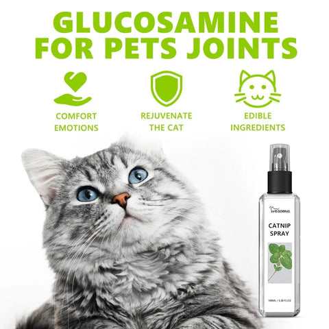 Natural Catnip Spray | Happy Water Formula for Cats | Promotes Appetite | Relieves Anxiety | Boosts Vitality | Pet Training Aid | Mood Enhancer