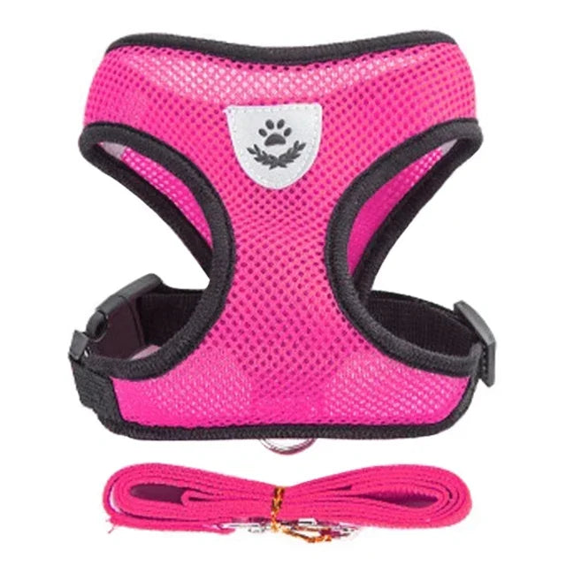 Cat Harness Vest | Walking Lead Leash for Puppy Dogs | Polyester Adjustable Mesh Dog Harness | Small Medium Pet Accessories Collar