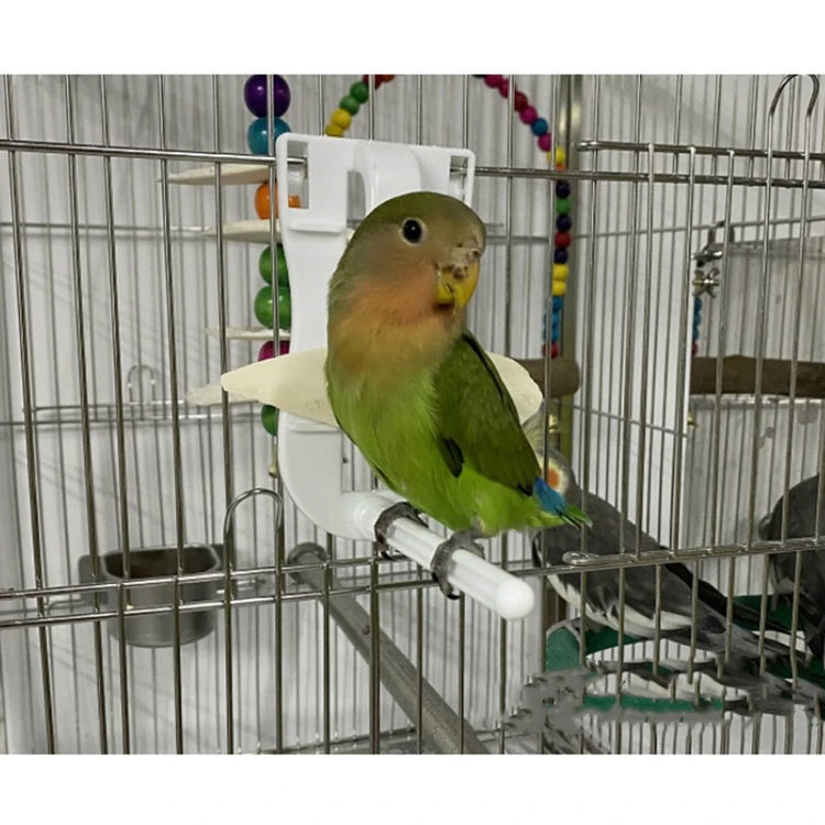 Bird Food Holder Clip | Parrot Cage Feeding Tool | Fruit & Cuttlebone Clamp for Birds & Rodents | White Plastic Pin Clip