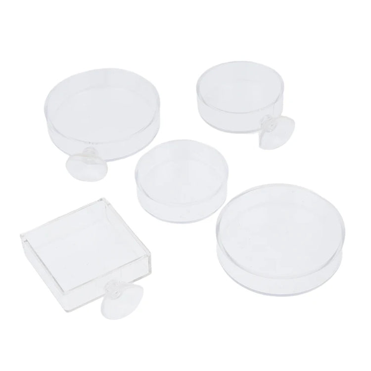 Acrylic Transparent Shrimp Feeder – Lightweight Durable Fish & Shrimp Feeding Container