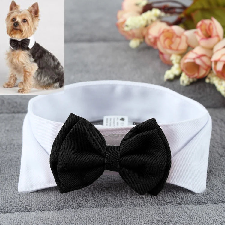 Adjustable Bow Tie Collar for Pets | 1PC Puppy/Dog/Cat Necktie - Holiday Wedding Grooming Accessory | Formal Bowknot Decoration