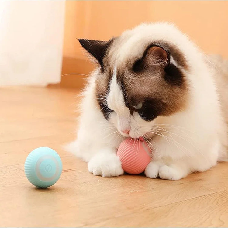 2023 NEW Electric Dog Toys | Smart Puppy Ball Toys For Cat | Small Dogs | Funny Auto Rolling Ball | Self-moving Puppy Games Toys | Pet Supplies