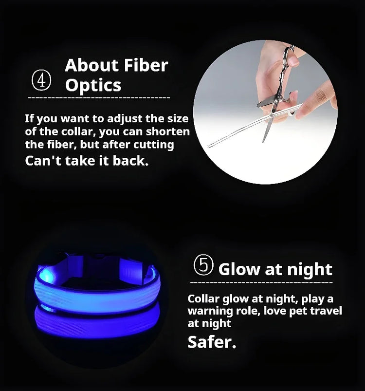Nylon LED Dog Collar | Night Safety Flashing Glow In The Dark | Dog Leash | LUminous Fluorescent Dog Accessories Collar