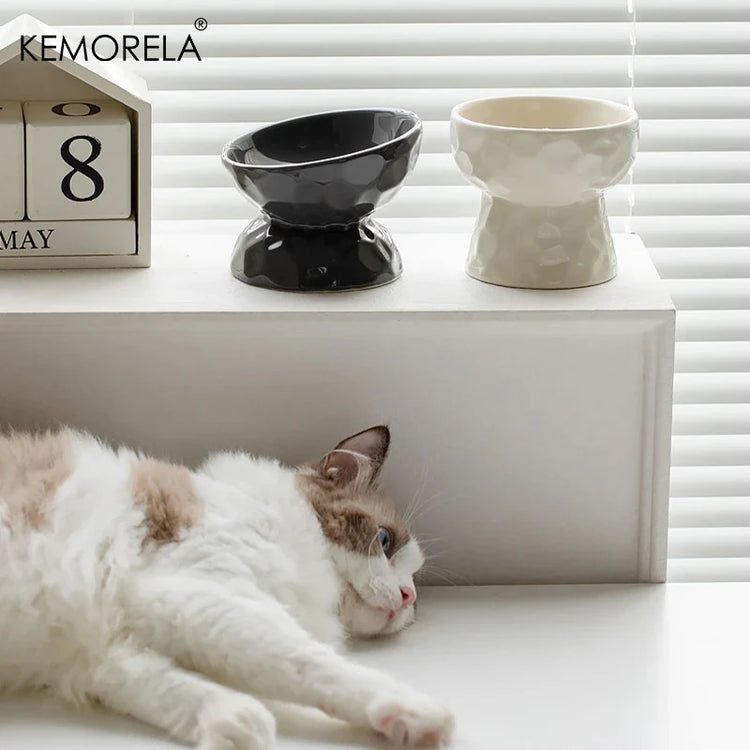 Cat Ceramic Bowl | Gradient Pet Food & Water Feeders | Small Dogs Drinking & Eating Supplies | Raised Tilted Cats & Puppy Feeding Supplies