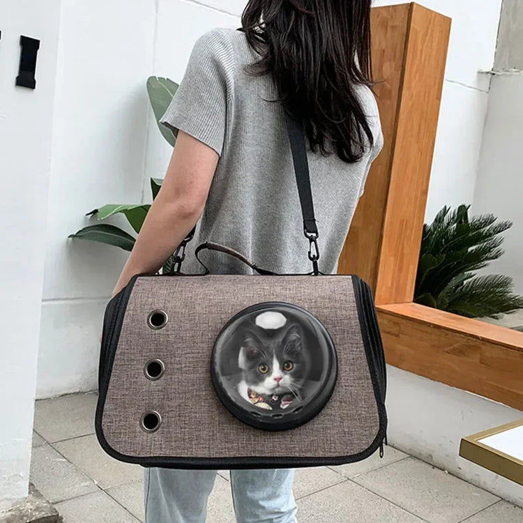 Portable Pet Travel Bag – Transparent Foldable Cat Backpack Zipper Tote