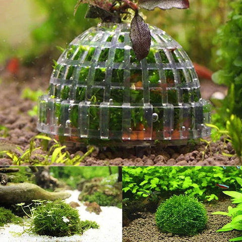 Aquarium Moss Ball Holder – Transparent Plastic Aquatic Plant Container & Filter Decoration for Fish Shrimp Tanks