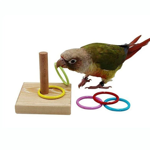 Bird Training Ring Toy | Parrot Educational Toys - Interactive Bird Supplies | Random Color Bird Toy | Wood + Plastic