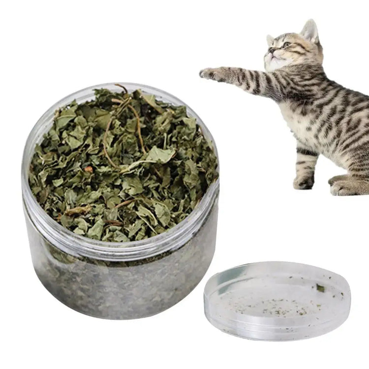 Natural Catnip | Organic Premium Catmints | Cat Toy Cataria | Eliminating Cats Hairballs | Absorbing Foods | Vitamin Supplement
