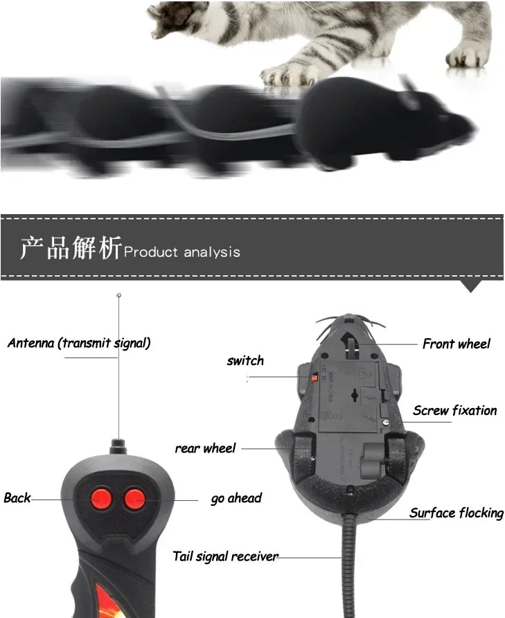 Rat Funny Cat Toy | Remote Control | Wireless Controlled Toy Rat | Interactive Toys | Cat Teaser Toy | Pet Supplies