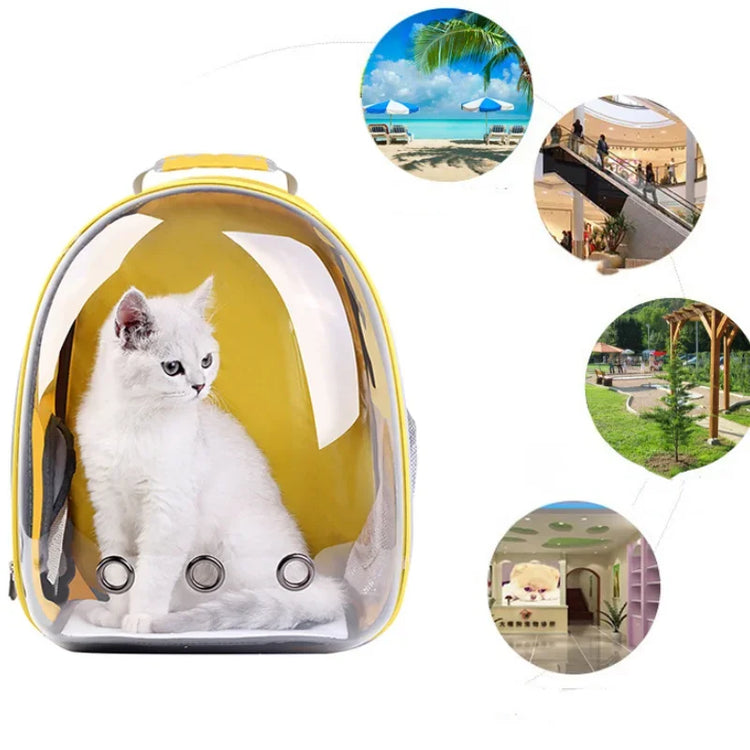 Cat Carrying Bag | Space Pet Backpack | Transparent Portable Dog Carrier