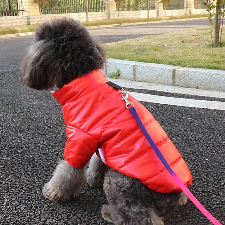 Warm Winter Dog Costume(XS-XL) | Chihuahua Yorkie Coat Clothing | Thick PU Leather Dog Down Jacket