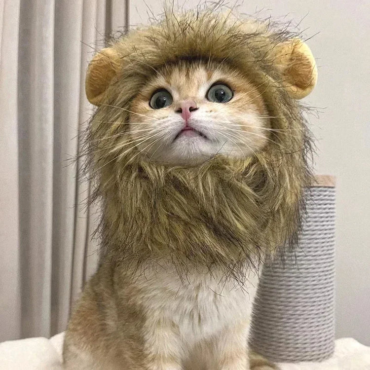 Cute Lion Mane Wig Hat for Cats/Small Dogs | Funny Pet Costume For Halloween, Christmas & Parties