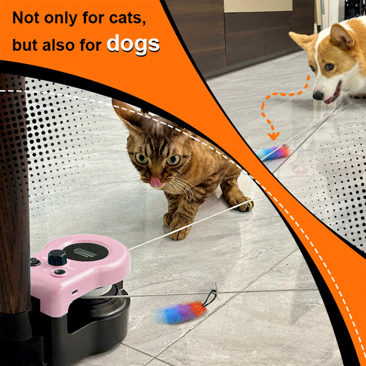 Cat Running Wheel Interactive Toy – Adjustable Speed Treadmill for Indoor Cats