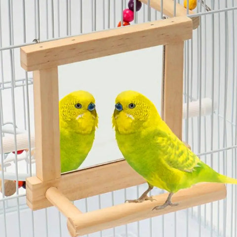 Parrot Perches For Cage | Bird Standing Branch Interactive Parrot Standing Sticks | Wood Parakeet Climbing Branches For Budgies