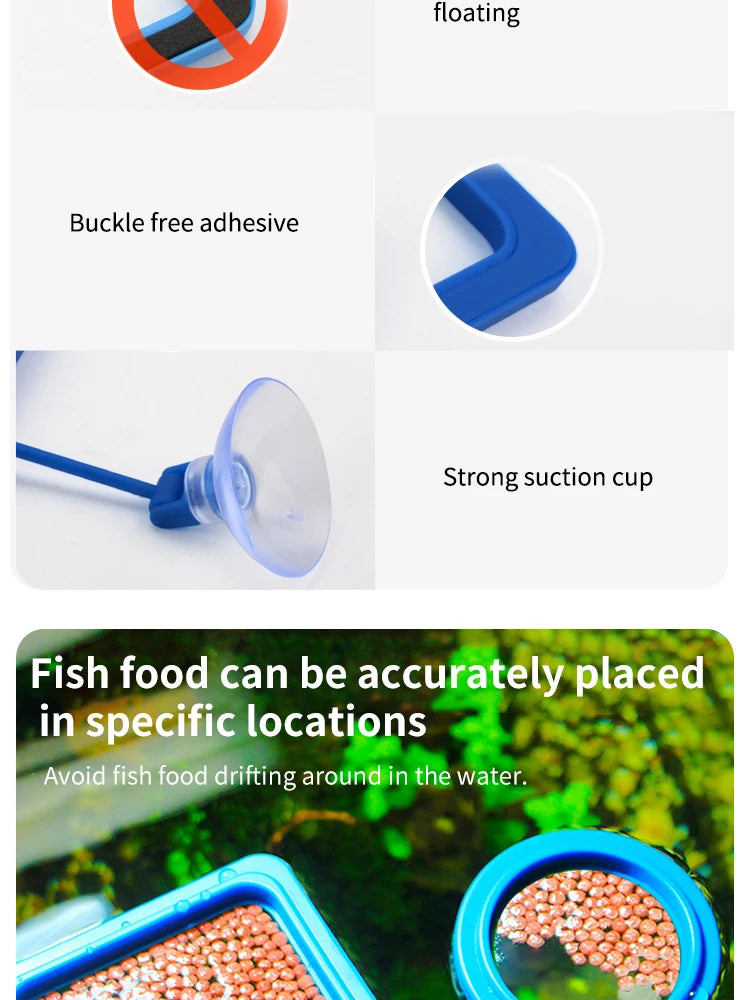 Floating Fish Food Feeder Ring with Suction Cup – Square & Circle Aquarium Station
