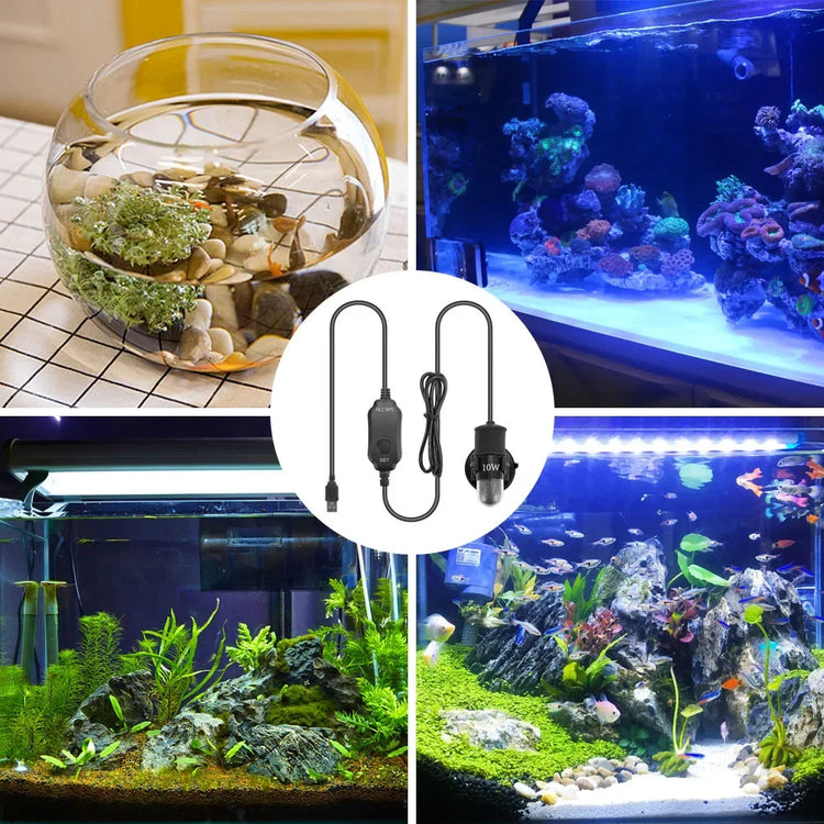 USB Mini Aquarium Heater – Adjustable 18–34°C, 10W Submersible Heating Rod for Small Tanks (2L)