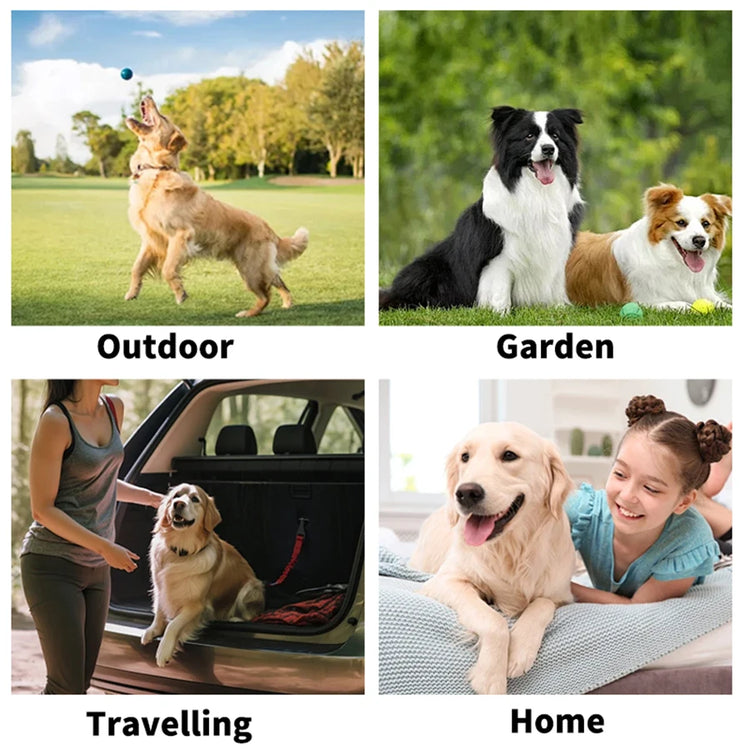 Cleaning Wipes Gloves for Dog/Cat | Deodorizing Bath Wipes | Grooming Glove for Paws, Face, Ears, and Body | Daily Pet Care Supplies