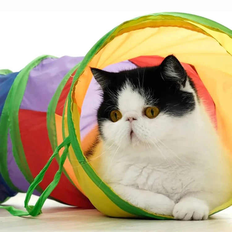 Foldable Cat Tunnel Toy for Indoor & Outdoor Use | Crinkle Sound/Hanging Ball/Multi-Entry Design – Play Tube for Cats/Kittens/Rabbits/Puppies