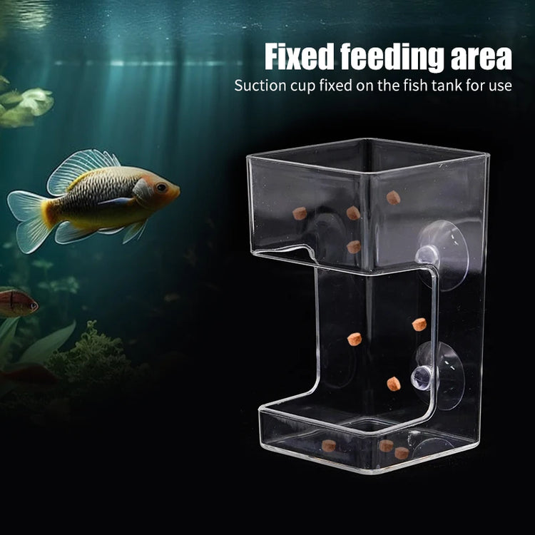 Aquarium Feeding Ring Floating Food Tray with Suction Cup – Transparent Acrylic Fish Feeder