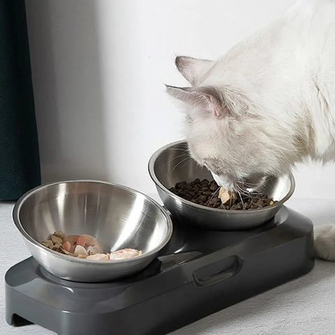 Cat Bowl | Lovely Creative Inclined Feeder | Kitten Puppy Food Bowl | Stainless Steel Pet Dish | 15° Tilt Neck Protector | Anti-Slip Dog Cat Feeder