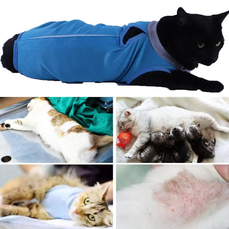 Cat Neutering Suit | Comfortable Adjustable Recovery Vest for Cats