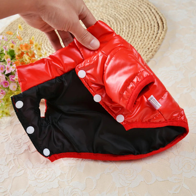 Warm Winter Dog Costume(XS-XL) | Chihuahua Yorkie Coat Clothing | Thick PU Leather Dog Down Jacket