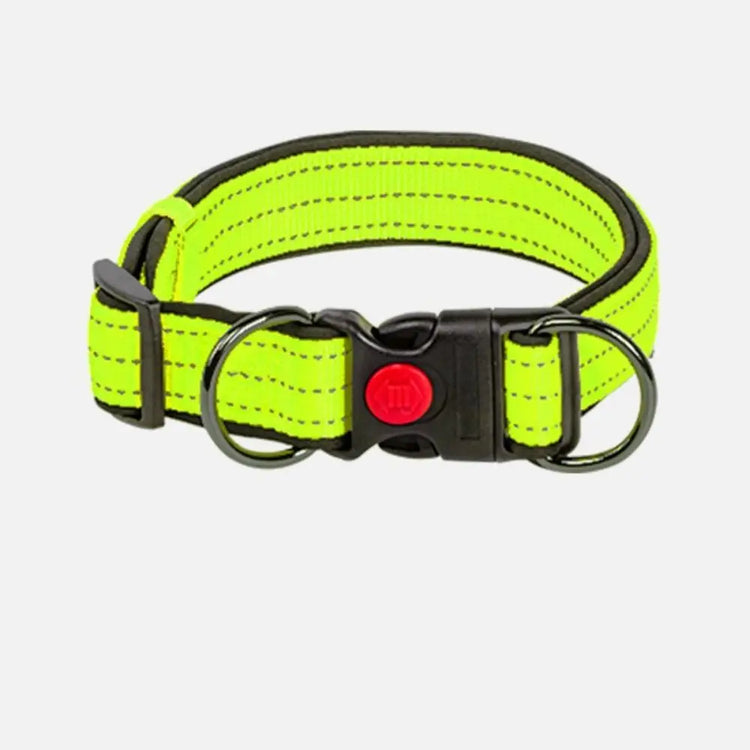 Reflective Padded Dog Collar – Durable Nylon with Double D Ring and Safety Buckle