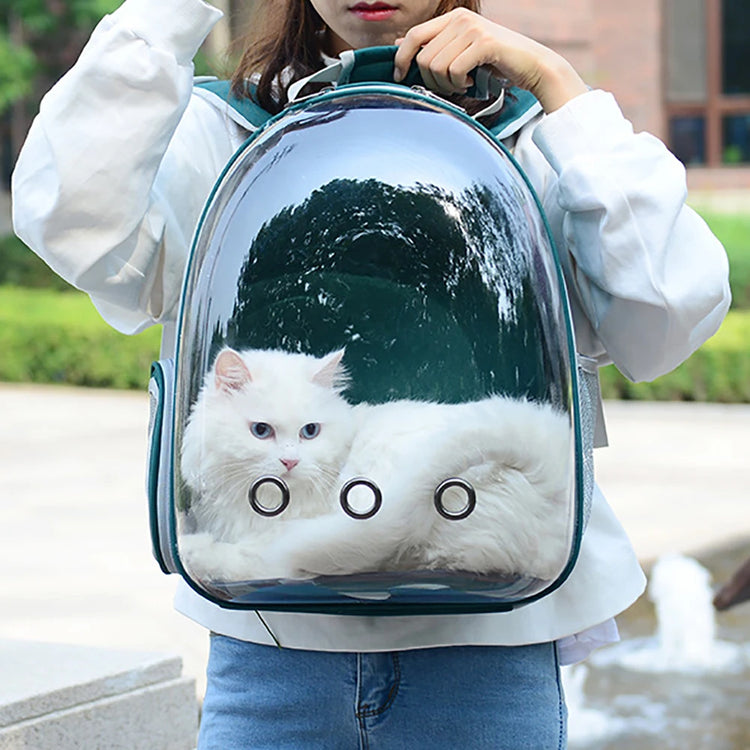 Cat Carrier Bag | Outdoor Pet Shoulder Bag | Carriers Backpack | Breathable Portable Travel Transparent Bag | For Small Dogs Cats