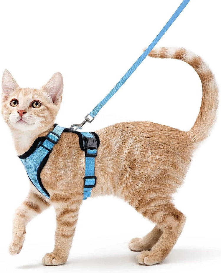 Cat Harness and Leash for Walking | Escape Proof | Soft Adjustable Vest Harnesses for Cats | EasyControl