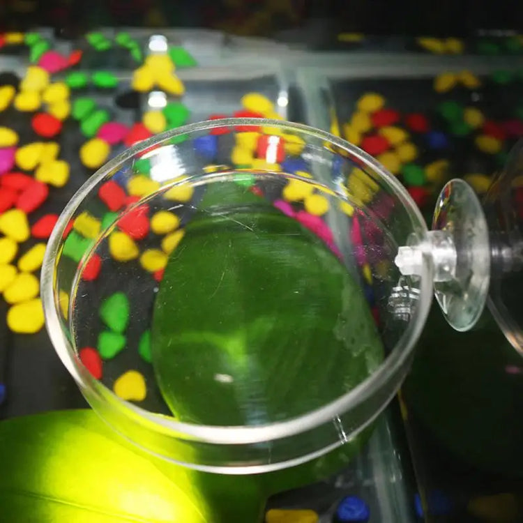 Transparent Acrylic Shrimp Feeder with Suction Cup – Floating & Bottom Feeding Fish Tank Accessory
