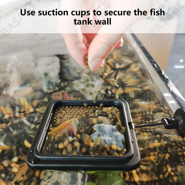 Aquarium Feeding Ring Floating Food Tray with Suction Cup – Square Fish Feeder (Black & Blue)