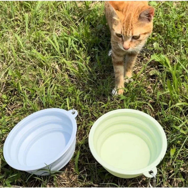 2pcs Collapsible Silicone Pet Bowls for Food & Water | Outdoor Camping & Travel Portable Folding Supplies Dishes with Carabiner