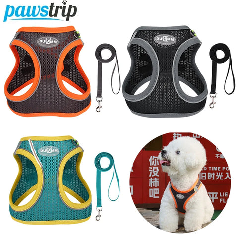 Pawstrip Soft & Reflective Dog Harness with Leash – Comfortable Vest Harness for Small Dogs