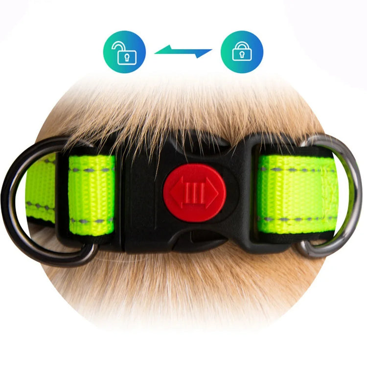 Reflective Padded Dog Collar – Durable Nylon with Double D Ring and Safety Buckle