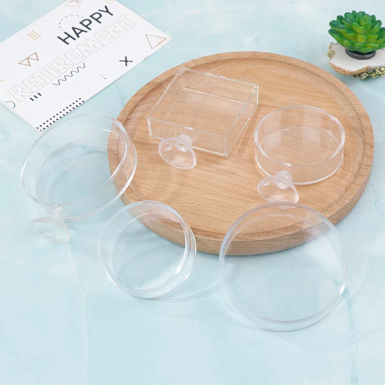 Acrylic Transparent Shrimp Feeder – Lightweight Durable Fish & Shrimp Feeding Container