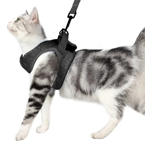 Cat Harness and Leash for Walking | Escape Proof | Soft Vest Harnesses for Cats | Breathable | Reflective Strips Jacket | Cat Accessories