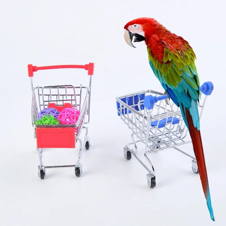 Bird Toys | 4 Types Parrot Toy Set | Include Basketball Toy / Skateboard / Stacking Toy / Metal Trolley Toy - Ball Bouncer Toy 29EF