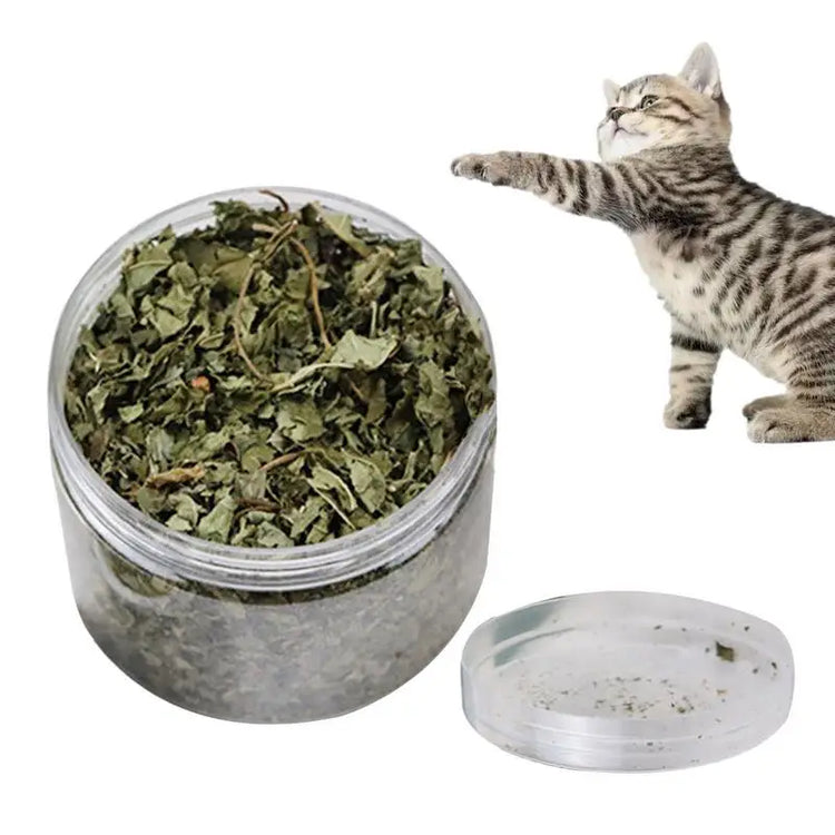 Natural Catnip | Organic Premium Catmints | Cat Toy Cataria | Eliminating Cats Hairballs | Absorbing Foods | Vitamin Supplement