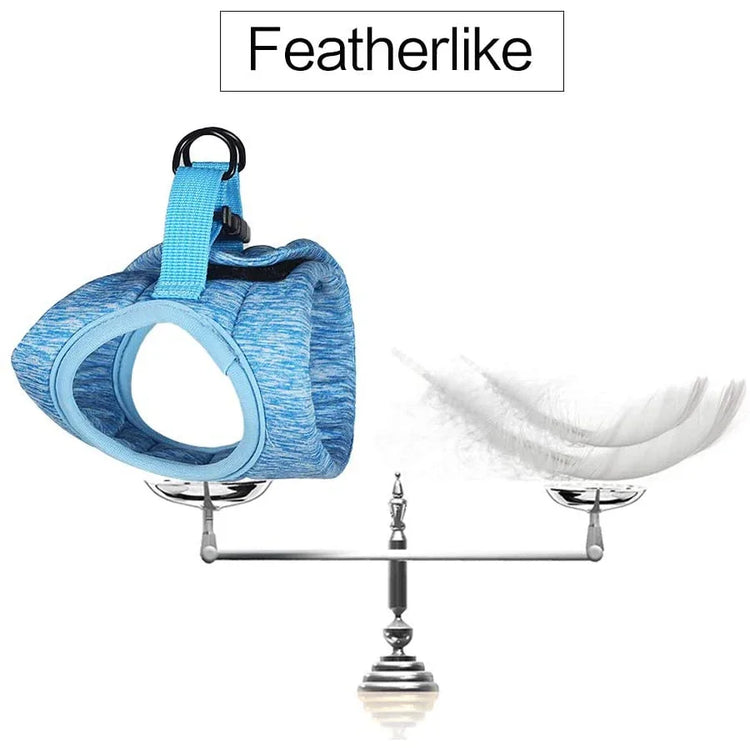 Cat Harness and Leash for Walking | Escape Proof | Soft Vest Harnesses for Cats | Breathable | Reflective Strips Jacket | Cat Accessories