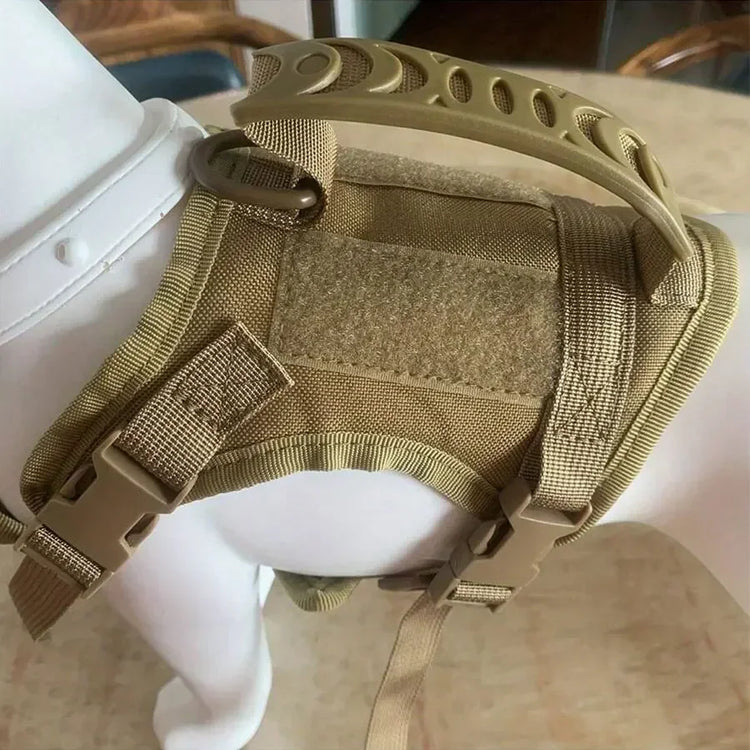 Outdoor Cat Vest | Waterproof Cat Clothes | Adjustable Cat Chest Strap | Special Walking Vest for Cats | Secure Outdoor Pet Harness