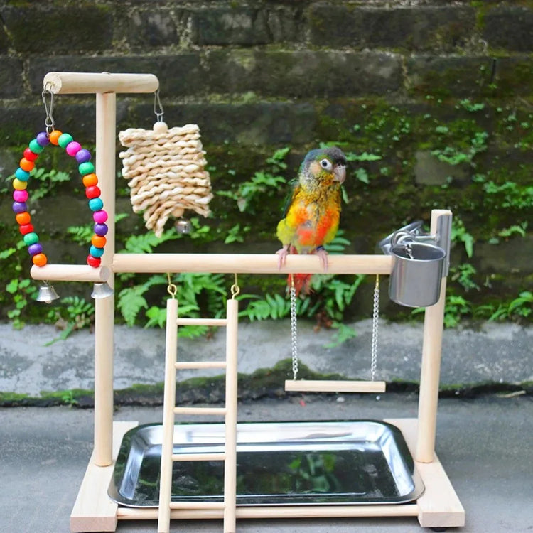 Bird Playground Perch Stand | Swing, Feeding Cups, Climbing Ladder | Parrot Playstand Exercise Playgym for Parakeet, Cockatiel, Lovebird