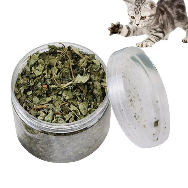 Natural Catnip | Organic Premium Catmints | Cat Toy Cataria | Eliminating Cats Hairballs | Absorbing Foods | Vitamin Supplement