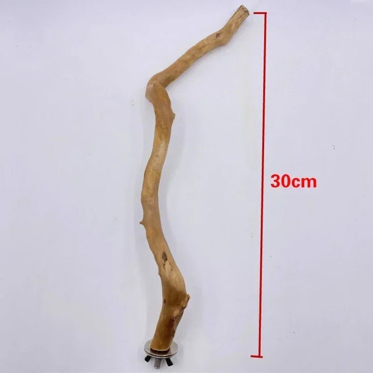 Natural Parrot Perch | Bird Stand Tree Stick | Paw Grinding Fork | Parakeet Climbing Branch | Bird Toys Cage Accessories