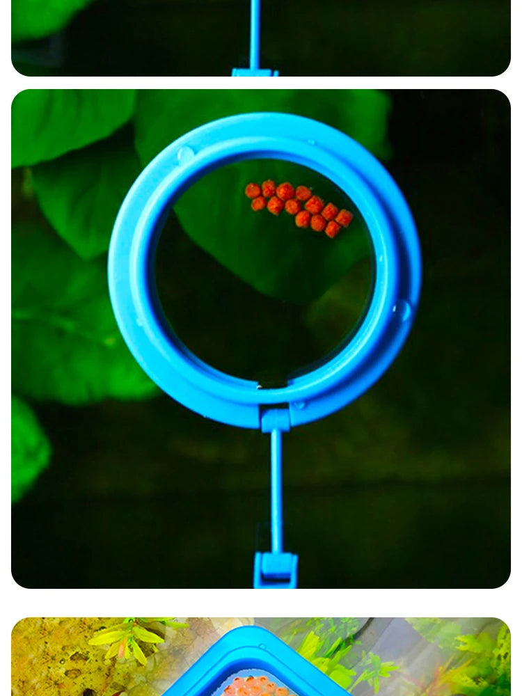 Floating Fish Food Feeder Ring with Suction Cup – Square & Circle Aquarium Station