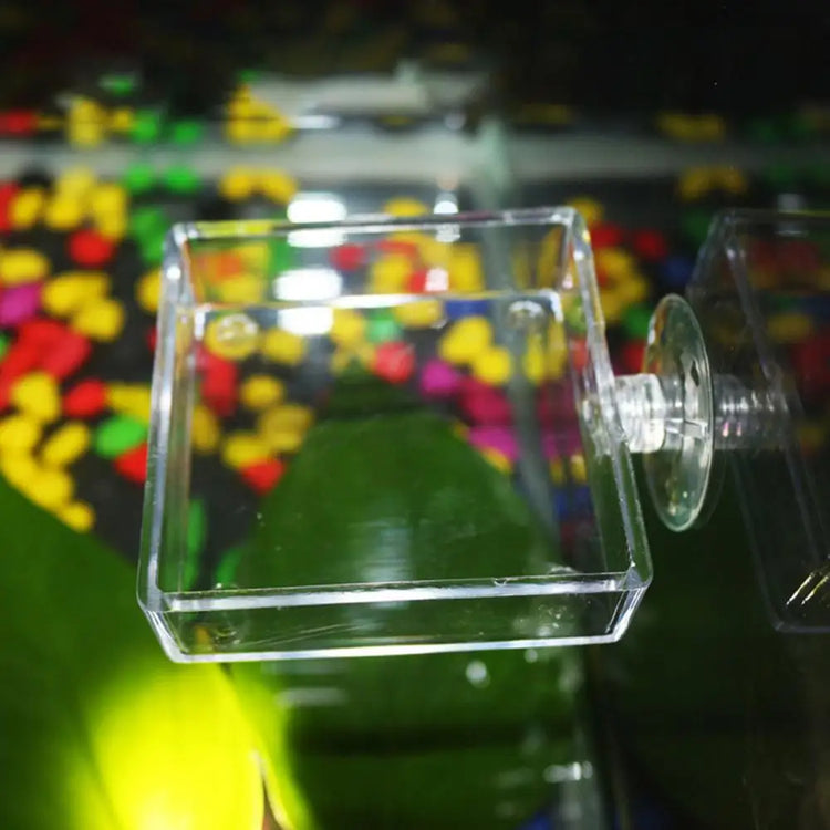 Transparent Acrylic Shrimp Feeder with Suction Cup – Floating & Bottom Feeding Fish Tank Accessory