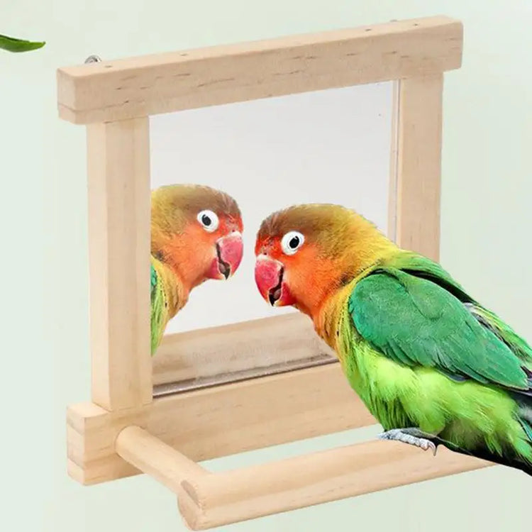 Parrot Perches For Cage | Bird Standing Branch Interactive Parrot Standing Sticks | Wood Parakeet Climbing Branches For Budgies