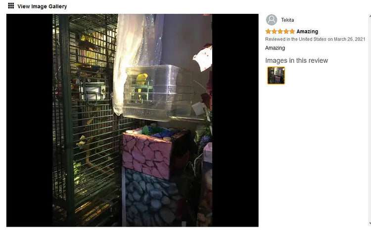 Bird Bath for birds Parrots Tub Large Clear Transparent Swimming Pool Box for Birds to Splash and Play Parrot Shower Bathtub