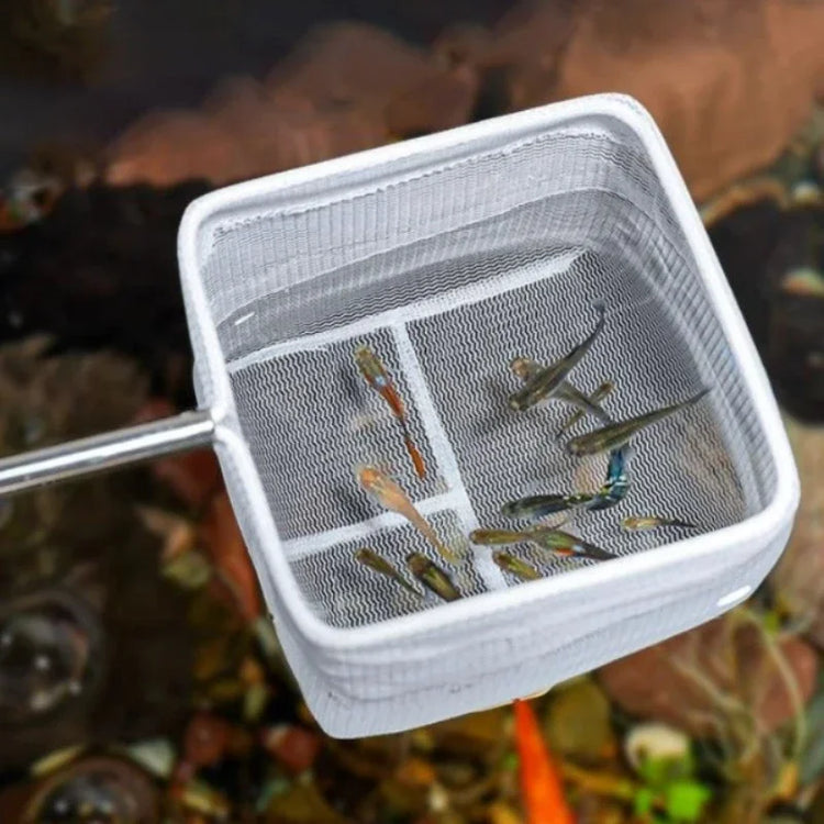 Stainless Steel Aquarium Net – Small Fish & Shrimp Catching Tool