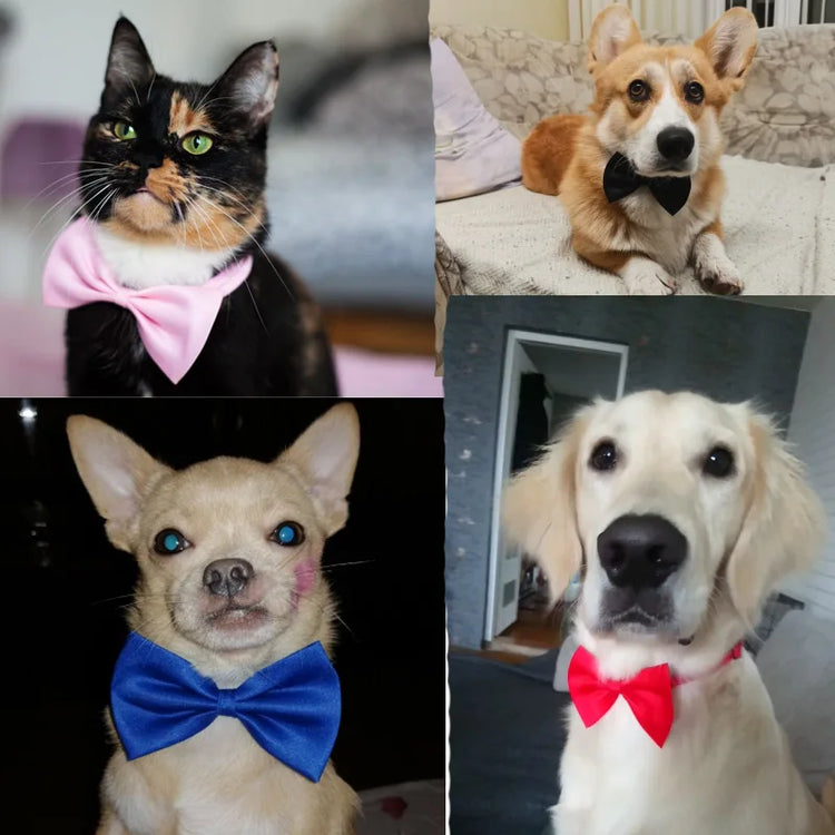 Pet Dog/Cat Necklace Formal Necktie |Adjustable Bow Tie Portable Collar, Suit For Small Medium Dog/Cat